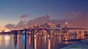 Image of City of The Purple Lights