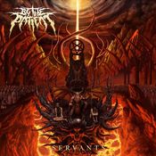 Image of BY THE PATIENT - Servants cd