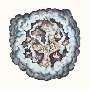 Image of TW Walsh: Songs of Pain and Leisure CD + MP3 Download