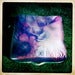 Image of Dog Bed B00018 & B00004
