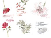 Image of warm words | CARD SET