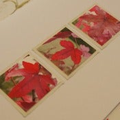 Image of AUTUMN LEAVES Greetings Card ~ 303