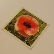 Image of POPPY Greetings Card ~ 101