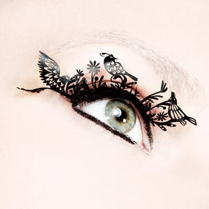 Image of Bird