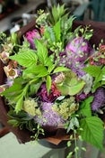 Image of csa BOUQUET share ~ 16 Weeks