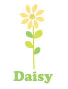 Image of daisy