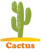 Image of cactus