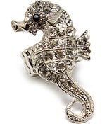 Image of Seahorse