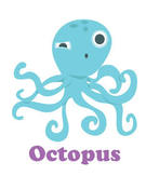 Image of octopus