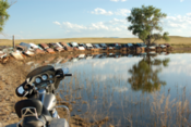 Image of Sturgis Car Pond on Canvas