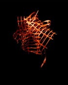 Image of Discard 6 (Mono-Oriented Polypropylene ) by Danny Eastwood