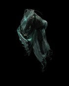 Image of Discard 2 (Fiberglas Mesh) by Danny Eastwood