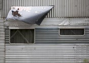 Image of Flag by Christopher Ireland