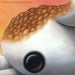 Image of "No S'more" giclee print