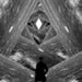 Image of Wanderer Inside the Sea of Time