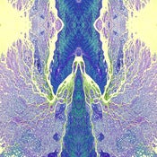 Image of DMT
