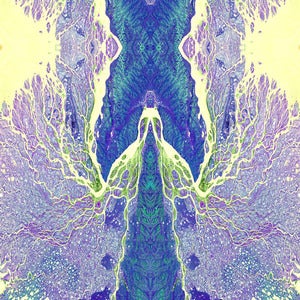 Image of DMT