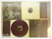 Image of Split Vinyl with Cttoaff