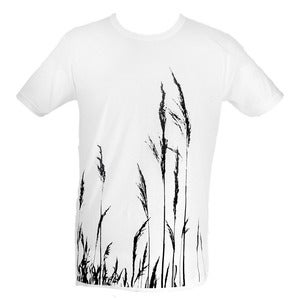 Image of Grass