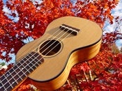 Image of Sailor Brand Cedar/Eucalyptus Soprano