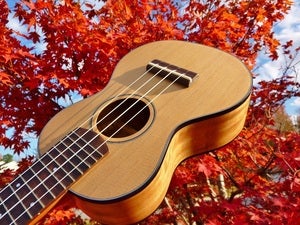 Image of Sailor Brand Cedar/Eucalyptus Soprano