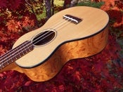 Image of Sailor Brand Spruce/Kawazinga Concert