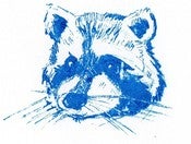 Image of 'Blue Raccoon' Gocco print