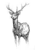 Image of Swamp Screen Print