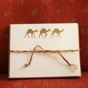 Image of dromedary