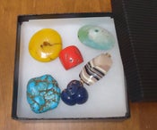 Image of Polymer, the Chameleon Clay Collectors' Edition!