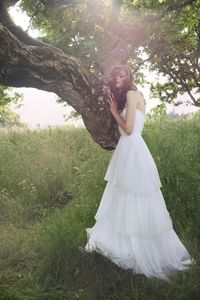 Image of Evermine