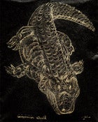 Image of (80.15 W:) American Alligator