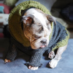 Image of turtlesweater