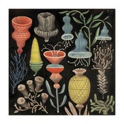 Image of Flowers of Evil