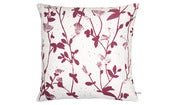 Image of Feather Plant- Cushion