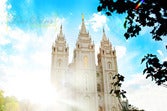 Image of Salt Lake temple Original 