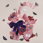 Image of Butterfly Beat 