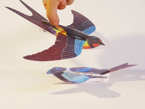 Image of Styrofoam Gliding Bird (Set of 4)