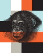 Image of Chimp Squares Poster