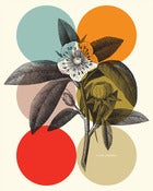 Image of Flora 6 Dots Poster