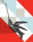 Image of Hummingbird 2 Poster