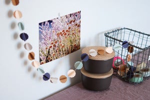 Image of CLOUDS 'automne'