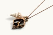 Image of Skull Bronze