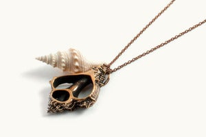 Image of Skull Bronze