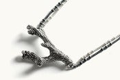 Image of Coral Branch