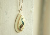 Image of Pavo Real - LAST ONE