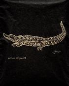 Image of (80.15 W:) American Crocodile
