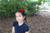 Image of Felt Clip: Green & Red
