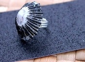 Image of ‘Opihi ring