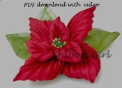 Image of poinsettia instructions only